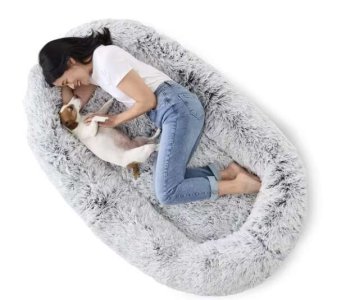 compressed-Kmart pet bed.jpeg