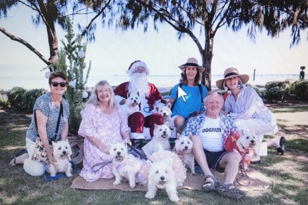 SantaWesties.jpg