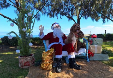SantaPaws24a.jpg