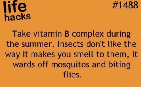 b11e0cd928e5bb92cb814f17b221eb18.jpg