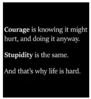 Courage V Stupidity.jpg