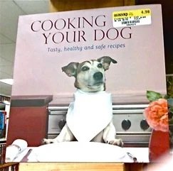 29536-Woking your dog.jpg