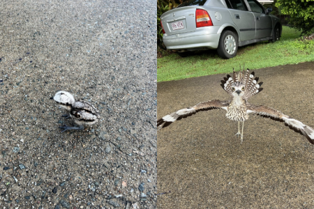 image1.png image1.png