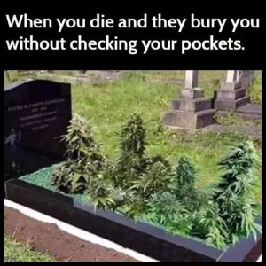 1736939601465.png
