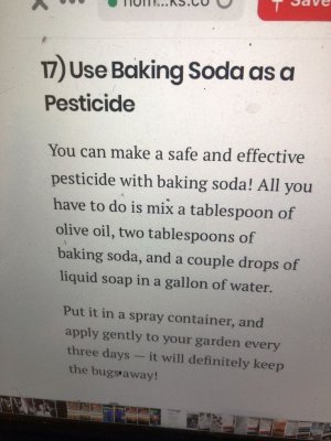 77797624801d581c0af748a49e2aa34b (2).jpg