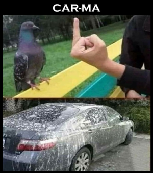 1738547622701.png