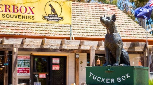 The Dog on The Tuckerbox.jpg