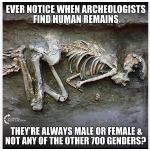 1738653261528.png