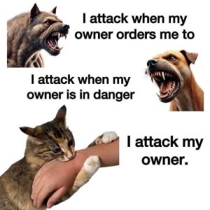 IMG_0472.jpeg