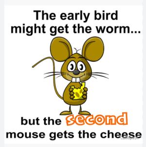 1740457265061.png