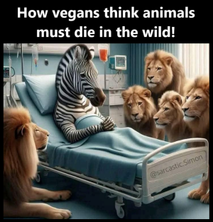 1740892309931.png