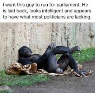 new politician.jpg