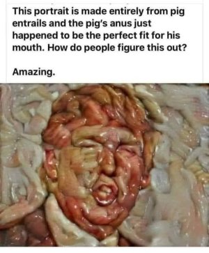 TRUMP PIG'S ARSE.jpg