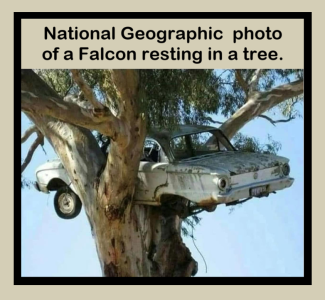 1741572751862.png