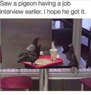 IMG_2050.jpeg