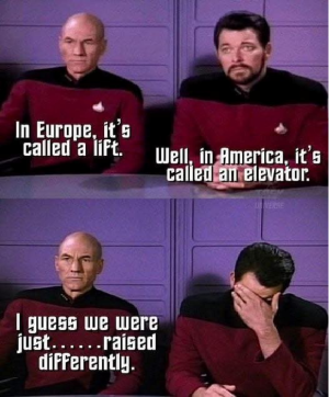 1742784156713.png