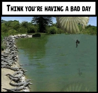 1743035242093.png