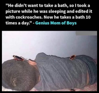 1743304202205.png