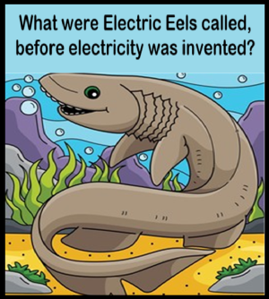 1743396872107.png