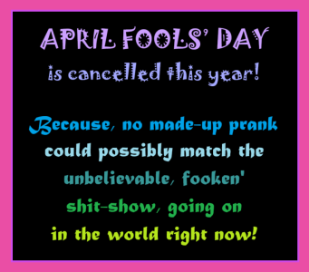 1743409804667.png