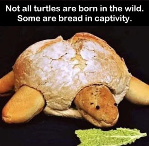 1744439648222.png