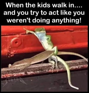 1744609689384.png
