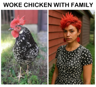 1744610017351.png