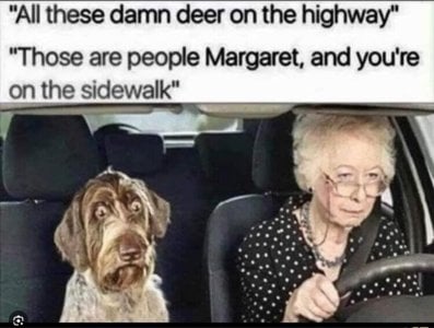 td9ppz145qve1.jpeg