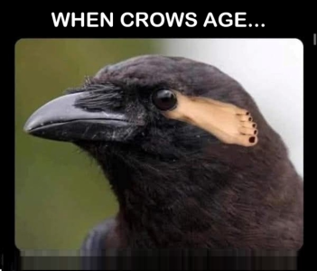 1745478134239.png