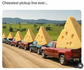 Cheese Ute.jpg