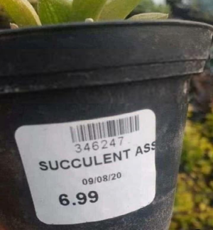 1745658819205.png