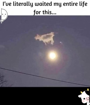 1745916928430.png