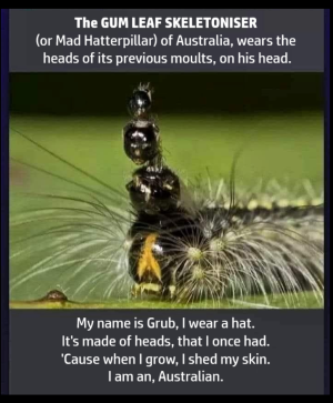 1746012397767.png