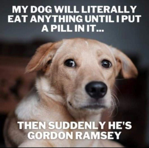 1746077473596.png