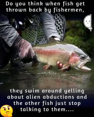 1746144554491.png