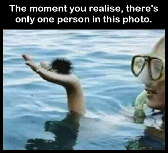 1746151139631.png