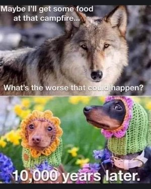 wolves.jpg