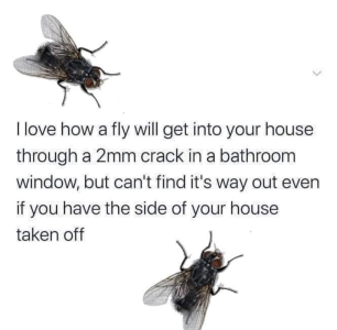 1746242086233.png
