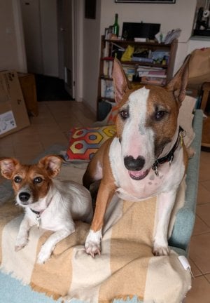 Freya_and_Kida.jpg