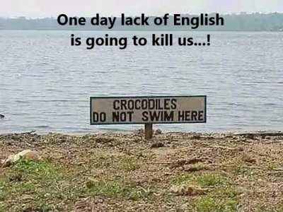 crocodiles do not swim.jpg