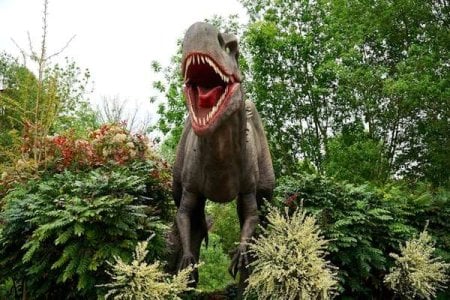 compressed-pexels-dinosaur themed park.jpeg compressed-pexels-dinosaur themed park.jpeg