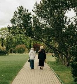 compressed-pexels-walking adults.jpeg
