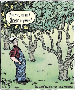 1746680681844.png