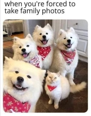 IMG_0686.jpeg