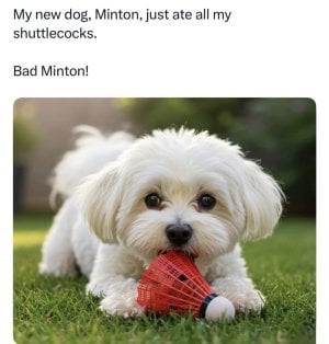IMG_0738.jpeg