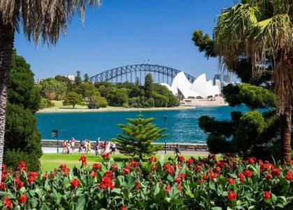 compressed-Sydney Royal Botanic Garden.jpeg