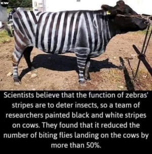 1746941806174.png