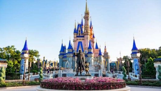 compressed-Disney World.jpeg