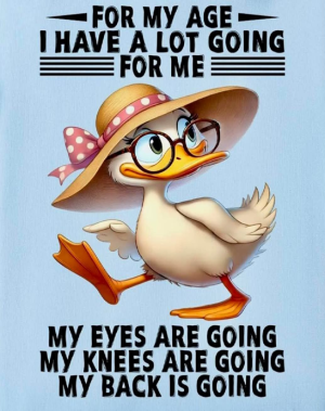 1747049189263.png