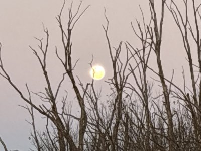 IMG_0936.jpeg